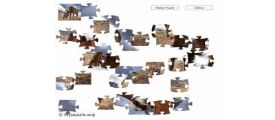  Joomla 
MyPuzzle Jigsaw Joomla разработка