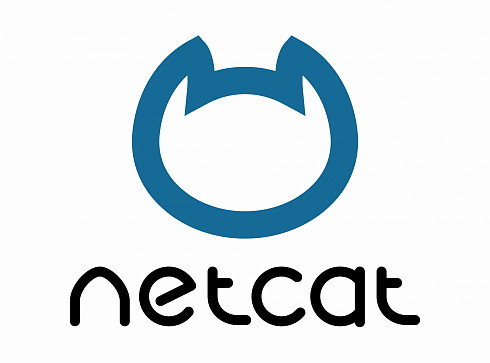  Разработка Netcat 20 часов