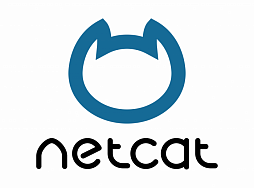 Netcat программирование