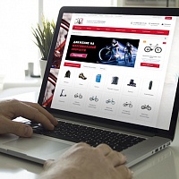 Diafan доработка шаблона Адаптивный интернет-магазин Спортивных товаров